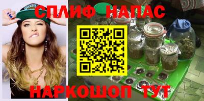 твердый Камышлов