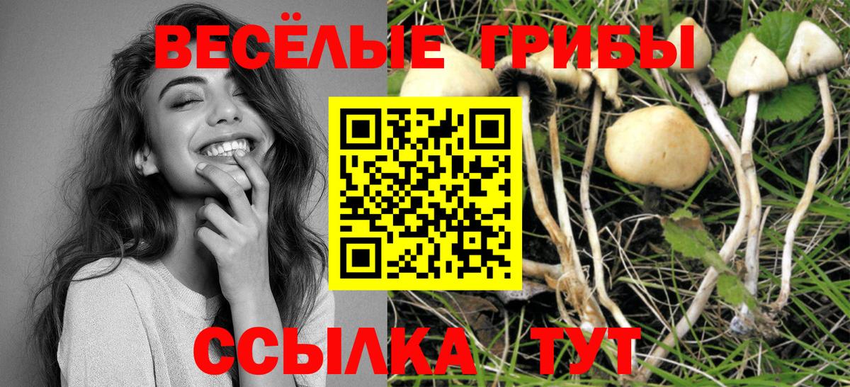 Галлюциногенные грибы Cubensis  Вход с VPN  Лосино-Петровский  Галлюциногенные грибы MAGIC MUSHROOMS 