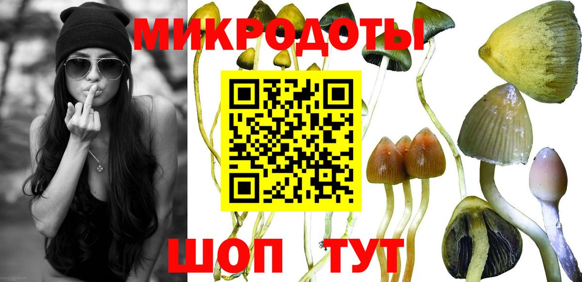 Галлюциногенные грибы мицелий Лосино-Петровский